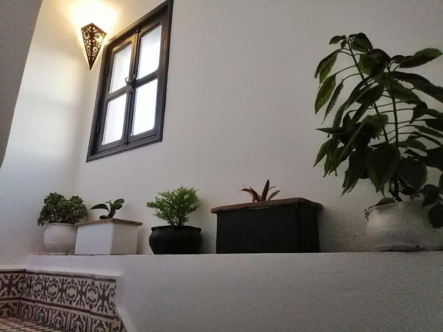 Ferienhaus Pour Familles Ou Groupes - Dar Mama